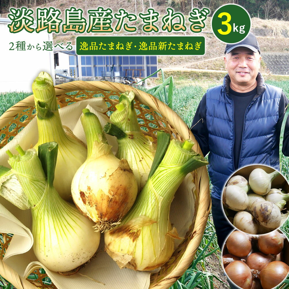 玉ねぎ たまねぎ 玉葱 タマネギ お歳暮 淡路島 【選べる逸品たまねぎ・逸品新たまねぎ12個前後】3kg 淡路の新玉ねぎ 新玉葱 新タマネギ ギフト用 贈答用 プレゼント用 国内産 兵庫県 野菜 辛くない あまい レシピ色々 ※ ふるさと納税 浜松 10kg 20kg 種 苗 ではありませんのサムネイル
