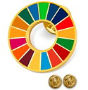 SDGs バッジ ピンバッチ バッヂ 国連公式最新仕様 留め具 金色 疑似七宝 エスディージーズ 1個 