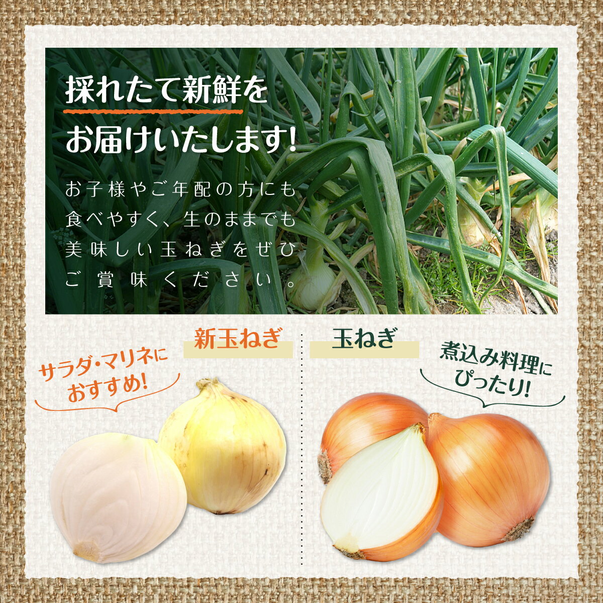 ���̤ͤ� �����ޤͤ� øϩ��� �����ޥͥ� 5kg 20������ �ڥ����������۶̤ͤ� ���ޤͤ� øϩ��Υ��ޥͥ� øϩ ʼ�� �� ��� ���ե� �ץ쥼��� £�� £��ʪ ���٤䤹�� �Ť� Ĺ����¸ �¿��Ȥ��ޤ�ޡ����å� �� �;� 10kg �դ뤵��Ǽ�� 20kg �� �� �ǤϤ���ޤ���