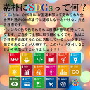 SDGs バッジ ピンバッチ バッヂ「国連公式最新仕様」ピンバッジの留め具 銀色 エスディージーズ (1個) 2