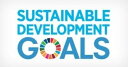 SDGs バッジ ピンバッチ バッヂ「国連公式最新仕様」ピンバッジの留め具 銀色 エスディージーズ (1個) 3