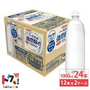 日本サンガリア 伊賀の天然水 強炭酸水 ラベルレス 1L 1000ml 12本×2ケース (24本) ペットボトル 1L 炭酸 炭酸水 飲料 ドリンク