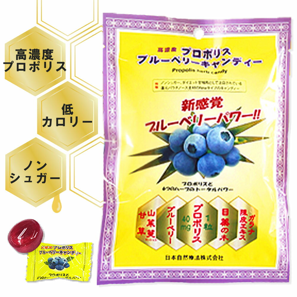 プロポリス キャンディ ブルーベリー味 ( 66g × 1袋 ) のど飴 ノンシュガー 砂糖不使用 低カロリー プロポリスキャンディー スッキリ デンタルポリス はちみつ 蜂蜜 喉の痛み 花粉症 殺菌 抗菌 ウイルス対策 のど すっきり のどあめ 送料無料 父の日