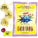 プロポリス キャンディ ブルーベリー味 ( 66g × 1袋 ) のど飴 ノンシュガー 砂糖不使用 低カロリー プロポリスキャンディー スッキリ デンタルポリス はちみつ 蜂蜜 喉の痛み 花粉症 殺菌 抗菌 ウイルス対策 のど すっきり のどあめ 送料無料