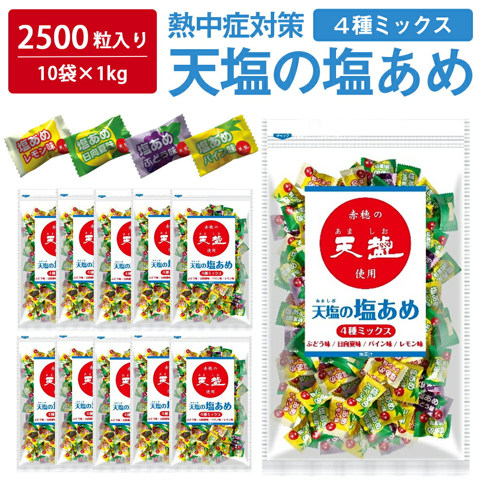 【 熱中症対策 】 ＼たっぷり2500粒入/ 天...の商品画像