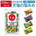 【 熱中症対策 】 ＼たっぷり250粒入／ 天塩の塩あめ 1kg ( 1kg×1袋 ) 塩分補給 4種ミックス レモン ぶどう パイン 日向夏 大容量 業務用 熱中対策 部活動 スポーツ キャンディ レジャー 仕事 夏バテ防止 ミネラル補給 小学生 中学生 子ども 子供 高齢者 夏 熱中症