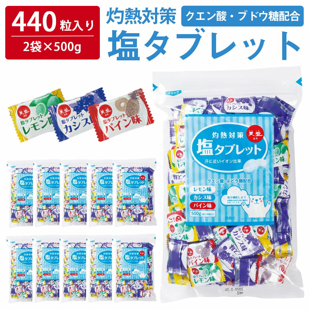 【 熱中症対策 】 ＼たっぷり440粒入／ 塩タブレット 500g ( 500g×2袋 ) 塩分補給 3種のフレーバー レモン カシス パイン 大容量 業務用 熱中対策 部活動 スポーツ キャンディ ラムネ レジャー 仕事 小学生 中学生 子ども 高齢者 夏 塩飴 ミックス