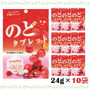 【売り切り価格】のどタブレット アセロラ味 ( 26g×10袋 ) チャック付 アセロラ 持ち運び キャンディ ラムネ レジャー 仕事 ミネラル補給