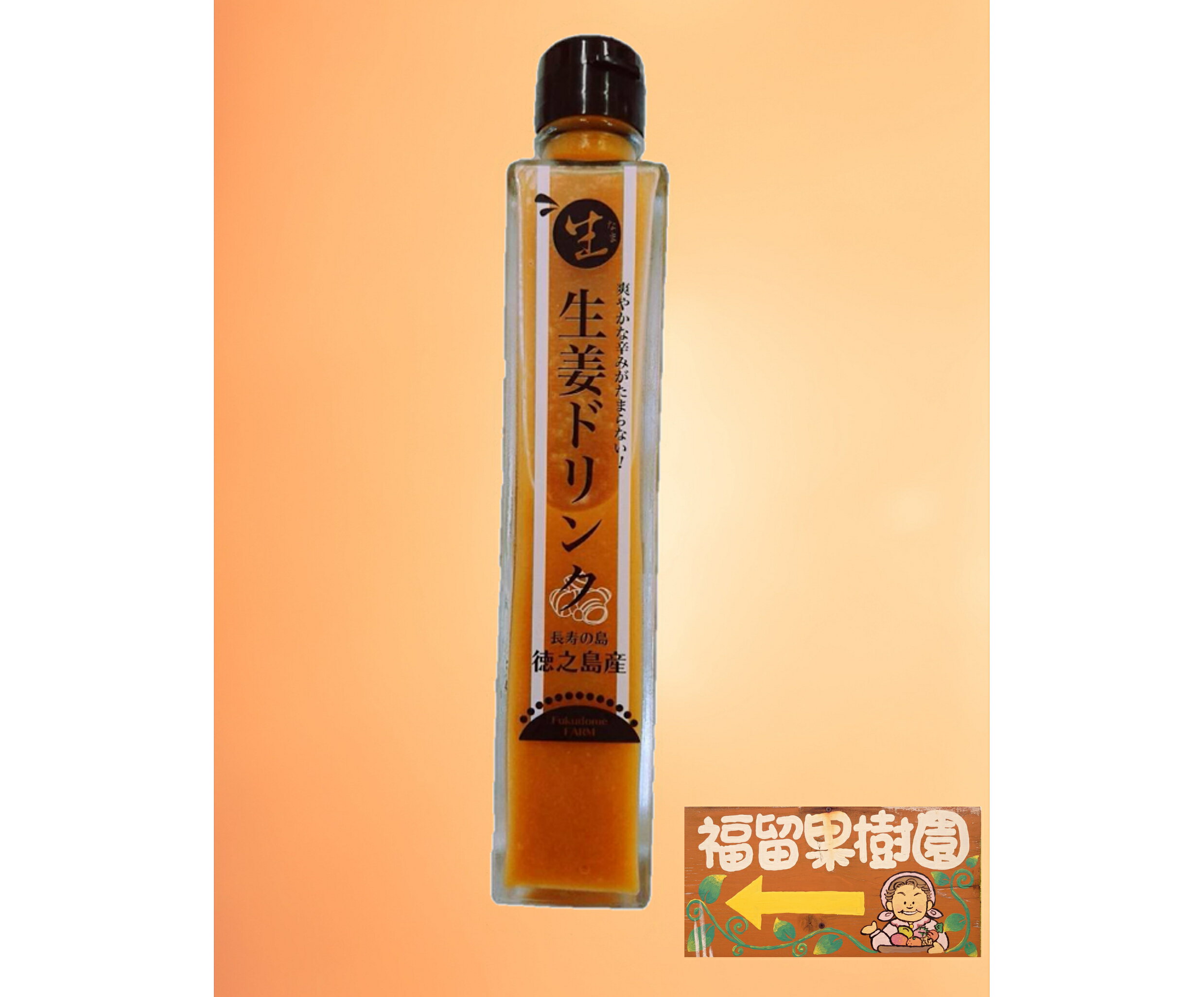 “生”生姜ドリンク パパイヤ入り 300ml 有機栽培農家 福留果樹園