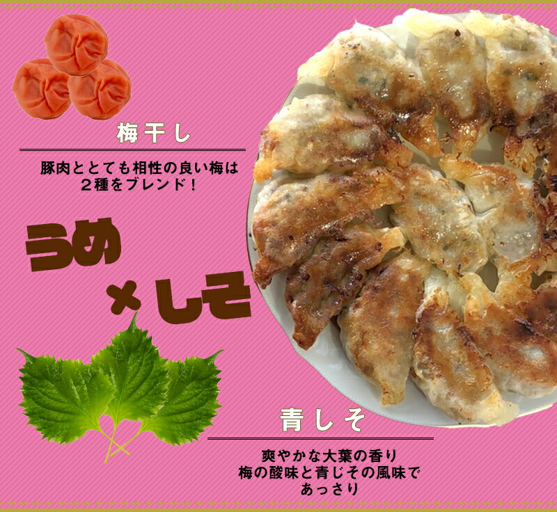 今だけ20%OFF 梅しそ 餃子 【10個】 パンパン餃子　ぎょうざ ギョウザ 皮 うすめ 生餃子 にんにくなし 総菜 パーティ 冷凍 国産素材 中華 点心 取り寄せ プレゼント おすすめ