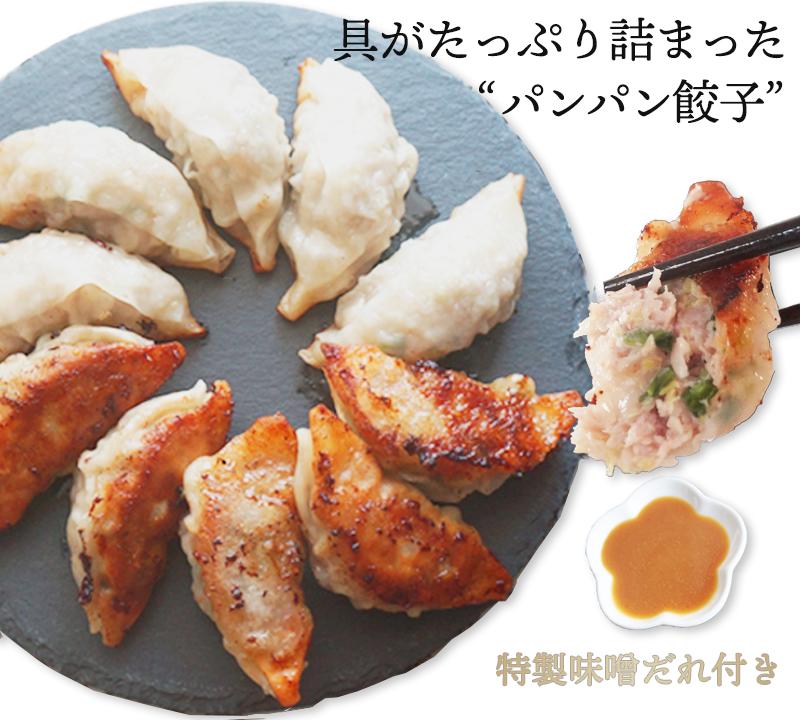 手作り 餃子 にんにく不使用【5〜6人前30個】 冷凍 餡ぎっしりパンパン餃子 味噌だれ付き みそダレ 送料無料 ぎょうざ ギョーザ 皮 うすめ 餃子のたれ 人気 生餃子 総菜 パーティ 国産素材 中華 点心 取り寄せ プレゼント おすすめ 母の日