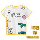 キッズ シャツ 半袖Tシャツ 綿100% 綿Tシャツ 女の子 男の子 子供服 半袖 白Tシャツ クルーネック ジュニア 春夏 夏物 プリント カジュアル 通園着 通学 小学生 トレーナー 可愛い ルームウェア 部屋着 ウサギ柄 動物柄 ホワイト 90/100/110/120/130/140cm