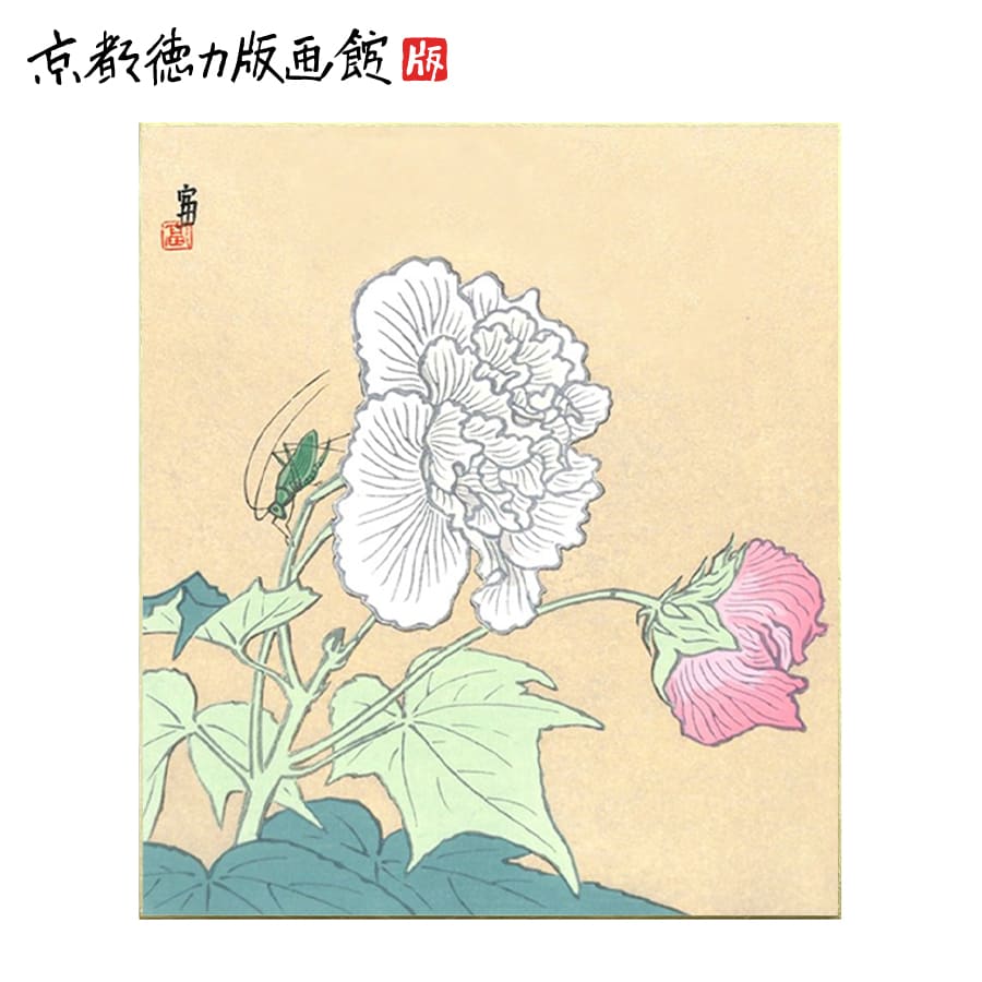 ギフト プレゼント 贈答 インテリア アート 壁掛け 木版画 和風 色紙絵 花 スイフヨウ 日本製 京都 雑貨 【公式】徳力富吉郎 木版画 色紙 酔芙蓉