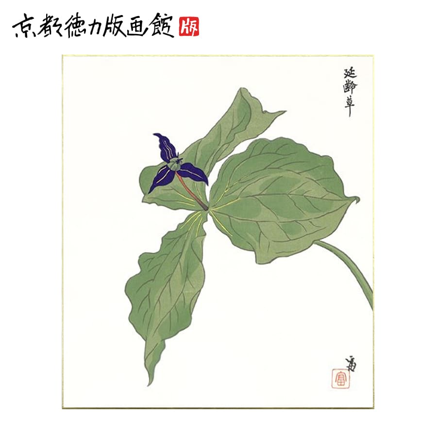 ギフト プレゼント 贈答 インテリア アート 壁掛け 木版画 和風 色紙絵 花 日本製 京都 雑貨 【公式】徳力富吉郎 木版画 色紙 延齢草