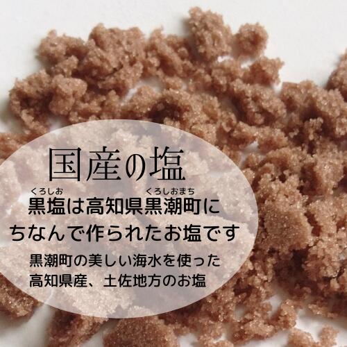 黒塩 100g×1点 黒い塩 塩 食塩 食用 ソルト カラー ブラック 高知県産 日本製 チャック仕様 送料無料 メール便 1000円ポッキリ 3