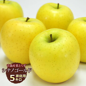 送料無料 葉とらず シナノゴールド 【家庭用】約5kg(14〜18個) ※青森産、直送、りんご、リンゴ、林檎、サンふじ