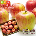りんご ふじ 山形県産 サンふじ 約5kg 山形産 バラ詰め 林檎 リンゴ ふじ フジ 送料無料 訳あり