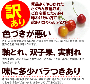 訳あり さくらんぼ 約1kg Mサイズ　自宅用 色づき悪い 変形 キズ含む 露地栽培 佐藤錦 紅秀峰 など 品種おまかせ 送料無料