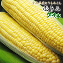 嶽きみ 青森県が誇るプレミアム とうもろこし 24本セット まるで果物のような甘さ トウモロコシ コーン 同梱不可 / 沖縄県・一部離島配送不可