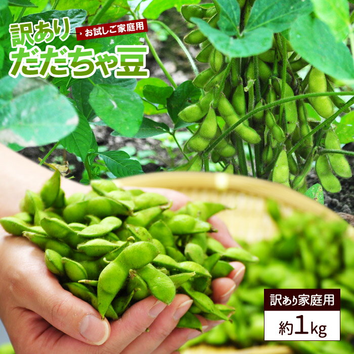 だだちゃ豆 枝豆 豆 1kg 訳あり ご家