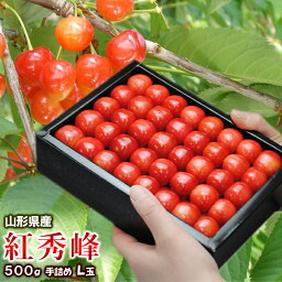 ギフト さくらんぼ 紅秀峰 フルーツ 山形県産 くだもの 約500g Lサイズ バラ詰め 化粧箱 産直 サクランボ チェリー 産地直送