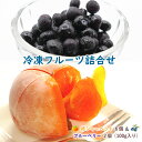 冷凍フルーツ詰合せ(柿シャーベット6個&冷凍ブルーベリー2個)化粧箱入りセット 冷凍 フルーツ 果物 フローズン 果物 ギフト