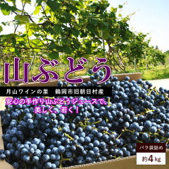 https://thumbnail.image.rakuten.co.jp/@0_mall/tokusanya/cabinet/yoko/grapes001.jpg