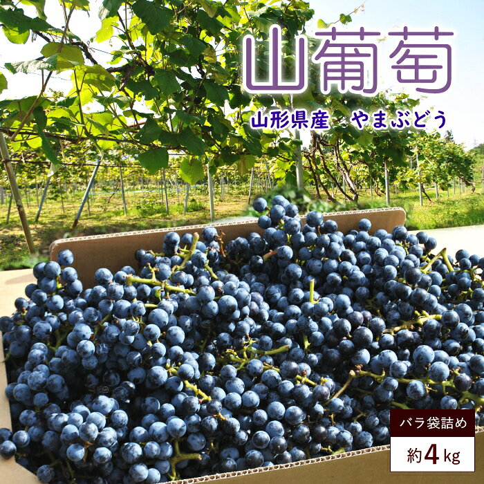 楽天市場】山ぶどう 樹皮の通販