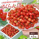 さくらんぼ 山形県産 訳あり 約1kg前後 バラ直詰め Mサイズ 品種おまかせ 送料無料 佐藤錦 紅秀峰 南陽 サミット ナポレオン 紅てまり ..