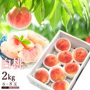 モモ 白桃 もも ギフト 約2kg 6-8玉前後 秀品 贈り物 桃 モモ ピーチ 山形産 産地直送 送料無料