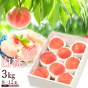 もも モモ 桃 白桃 約3kg 8-12玉前後 ピーチ 山形産 お中元 ギフト 贈答 残暑見舞い ギフト