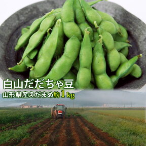 だだちゃ豆 枝豆 豆 白山 1kg 白山だだちゃ豆 えだまめ まめ マメ 生豆 ダダチャマメ だだちゃまめ 送料無料