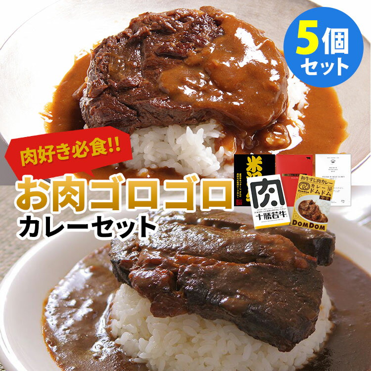 リニューアル 5種セット 厳選！人気のお肉ゴロゴロ系カレー 肉ソン大統領カレー＋米沢牛ビーフステーキカレー＋TosaCurryAkaushi＋特選松阪牛カレー＋ドムドム牛すじ肉カレー レトルトカレー