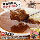 単品 鳥取和牛 ドラゴンカレー 300g あかまる牛肉店 レトルトカレー 【食品A】【DM】【海外 】