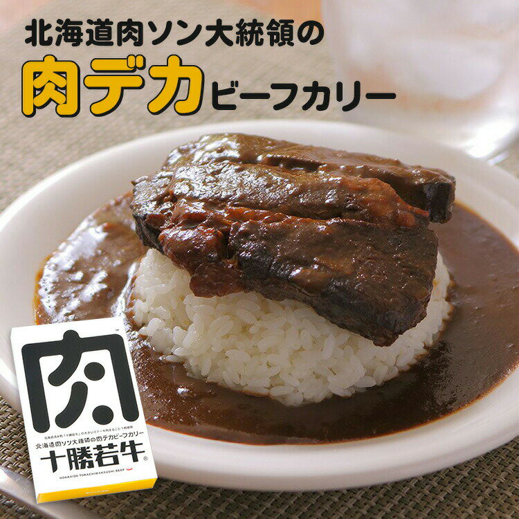 【賞味期限間近】単品 北海道肉ソン大統領の肉デカビーフカリー