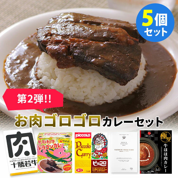 5種セット 第2弾 人気のお肉ゴロゴロ系カレー 肉ソン大統領＋鳥取和牛＋特選松阪牛ハンバーグ＋ピッコロカリー＋極厚牛ほほ肉 レトルトカレー 【送料無料】【食品A】【DM】【海外×】 1