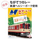 単品 ながてつカレー 200g 長良川鉄道 美濃ヘルシーポ