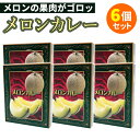 【賞味期限間近】6個セット メロンカレー 中辛 茨城県産メロン ローズポーク 磯山商事 レトルトカレー フルーツ 人気 ご当地 お土産 お取り寄せ カレーお試し...