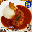 2個セット 鶏もも一本カレー （300g×2） にんにくカレー チキンレッグ 種子にんにく農園 田子にんにく 鶏もも肉 レトルトカレー 【メール便送料無料】【食品A】【DM】【海外×】