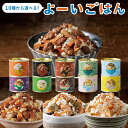 全10種 よーいごはん グリーンカレー・北海道産サケ・知床どり・十勝野ポーク・豚丼・コーン・ごぼうエビ 混ぜご飯の素 浜田旅館 缶詰 かんづめ 人気 ご当地 お...