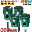 【8月4日新発売】【360度広範囲感知】【ベストアンサー公式】 4台セット 野良猫 撃退 猫よけ 撃退器 猫 超音波 センサー 猫よけ対策 光 音 ソーラー USB充電 害獣 駆除 防水 野良猫対策 太陽光パネル搭載 防滴 犬 鳥よけ 庭 撃退機 イノシシ イタチ アライグマ 糞尿対策