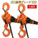 レバーホイスト 1.6t 2台 1.6ton 1.6トン 1.6t 1600kg チェーン ローラー チェーンブロック レバー式ブロック レバー 荷締機 ブロック ガッチャ がっちゃ 滑車 ホイスト チェーン ホイスト 固定 工具