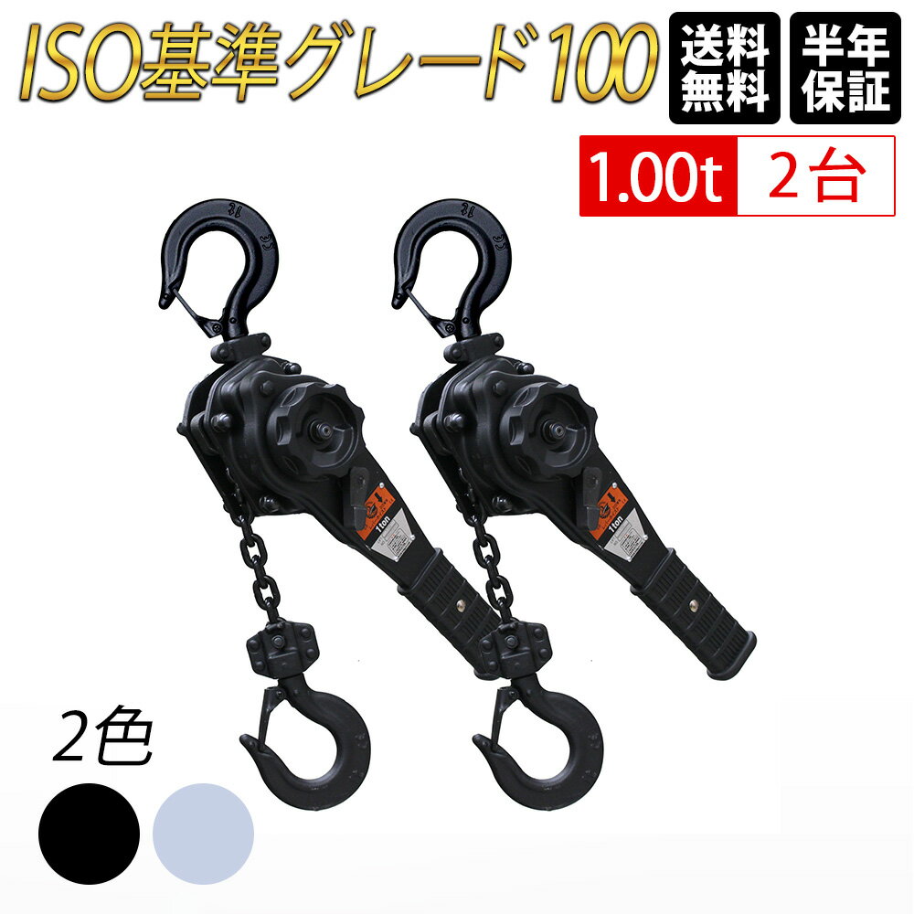 【ランキング1位】レバーホイスト 1t 2台セット 黒 軽量 小型 VGP ブラック 1ton 1トン 1.0t 1000kg チェーン ローラ…