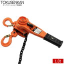 レバーホイスト 1t 1台 1ton 1トン 1.0t 1000kg チェーン ローラー チェーンブロック レバー式ブロック レバー 荷締機 ブロック ガッチャ...