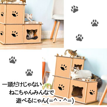 【 新商品 期間限定価格!】 猫用爪研ぎ おもちゃ キャットハウス ストレス解消 簡単組立 多頭飼い 段ボール製 ジャングルジムタイプミニ ステップ 段ボール 子猫 遊び道具 おしゃれ ねこ 猫 ネコ 運動 玩具 ダンボールハウス キャットタワー 爪研ぎ