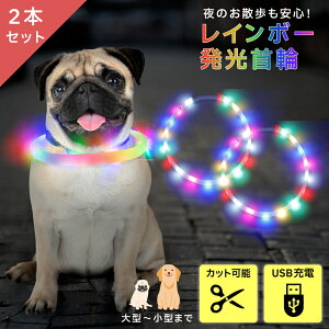 夜のお出かけでも目立つから安全！ライトで光る犬用首輪のおすすめは？