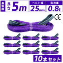 スリングベルト 25mm 5m 10本セット ナイロン 長さ5m 幅25mm 使用荷重800kg スリング ベルト ベルトスリング 玉掛 玉掛け 玉掛けスリング...