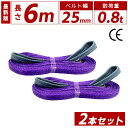 スリングベルト 25mm 6m 2本セット ナイロン 長さ6m 幅25mm 使用荷重800kg ベストアンサー スリング ベルト ベルトスリング 玉掛 玉掛け ...