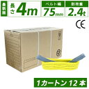 スリングベルト 75mm 4m 12本セット ナイロン 箱売り カートン 長さ4m 幅75mm 使用荷重2400kg スリング ベルト ベルトスリング 玉掛 玉掛け 玉掛けスリング 吊上げ ナイロンスリング ベルトスリング 繊維ベルト 吊ベルト 運搬ベルト 運搬スリング 吊具 その1