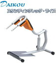ダイコウ/DAIKOU スタンディングレッグ・ライズ GYMシリーズ DK-1206
